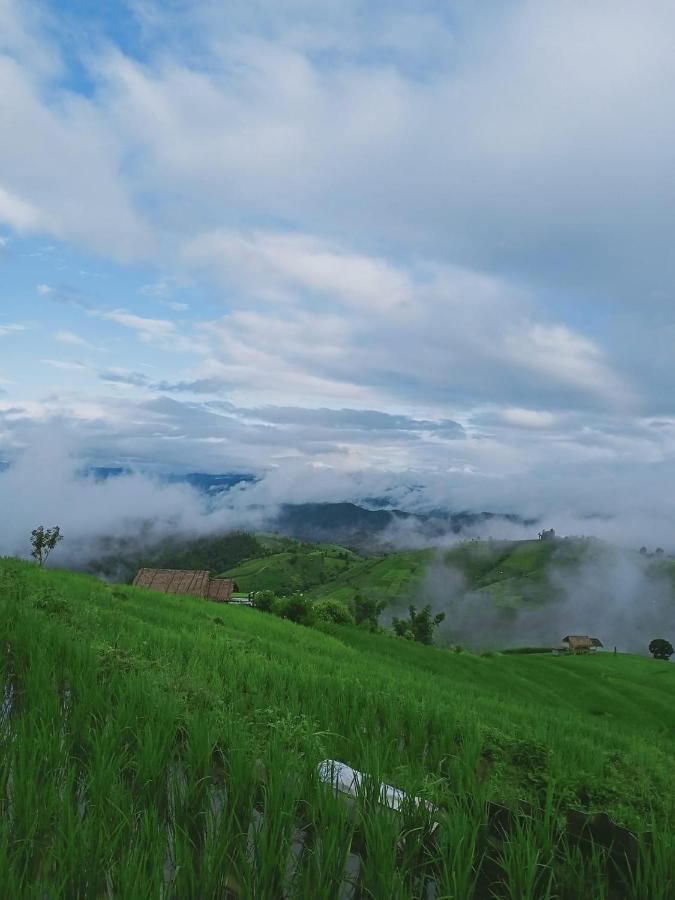 บ้านพักหน่อลอเคาะ ป่าบงเปียง