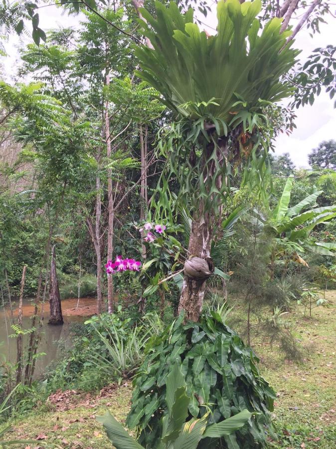 Baansuan Suksangob Farm * Trang