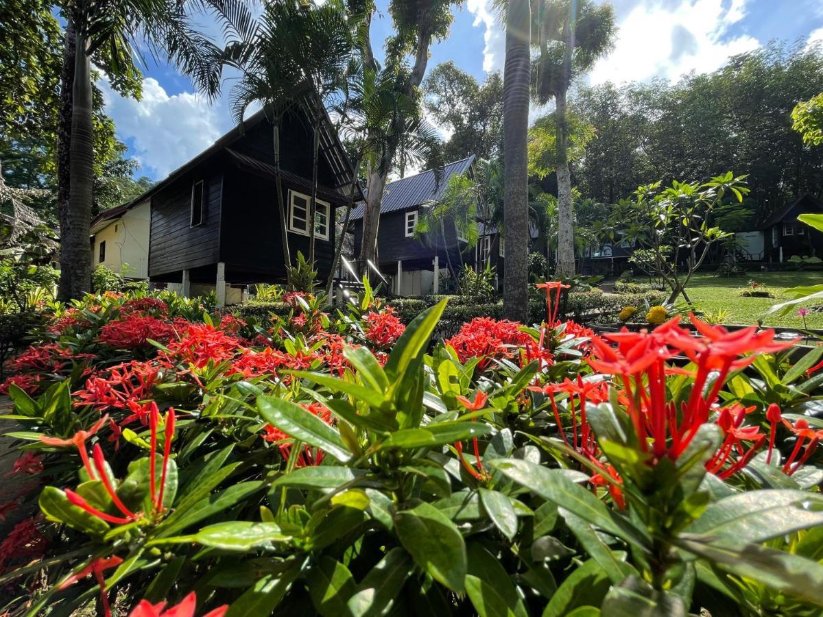 Resort Vanara
