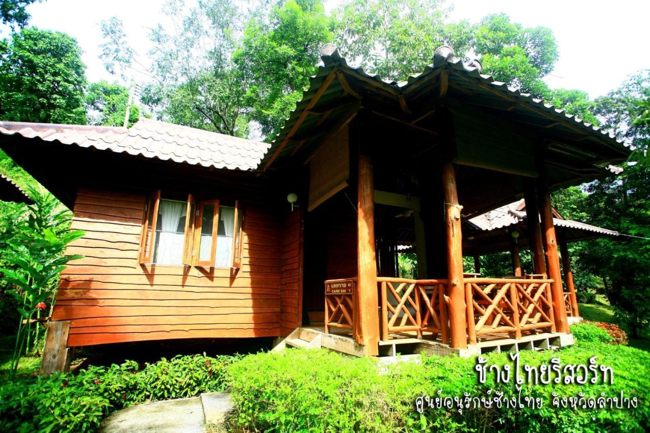 Lodge The Thai Elephant Conservation Center *