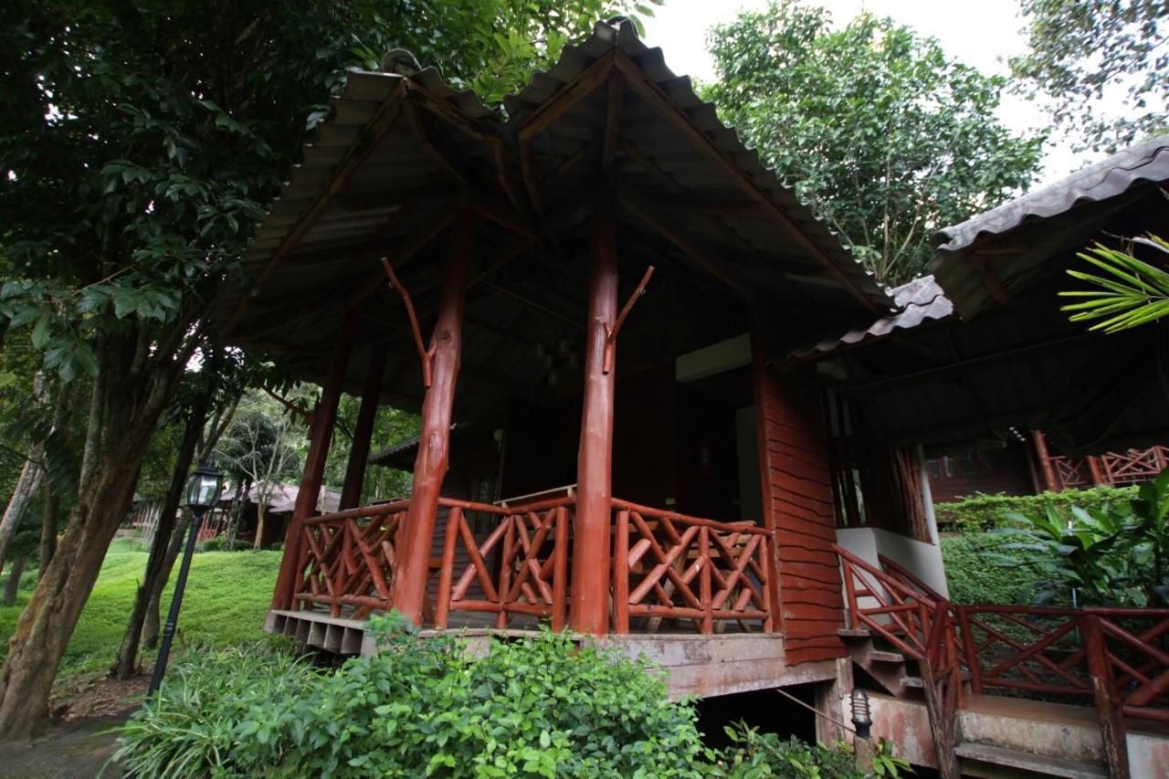 The Thai Elephant Conservation Center