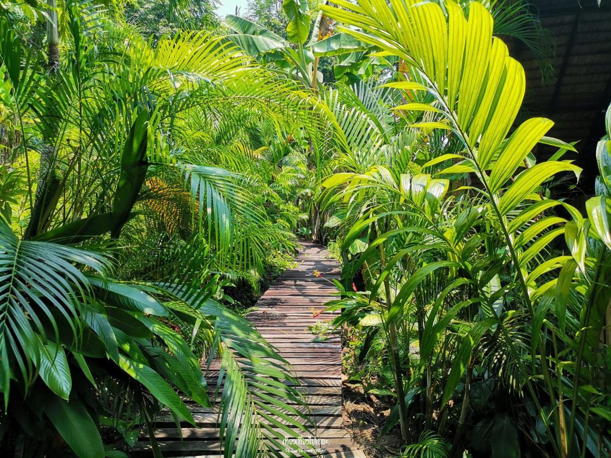The Tropical