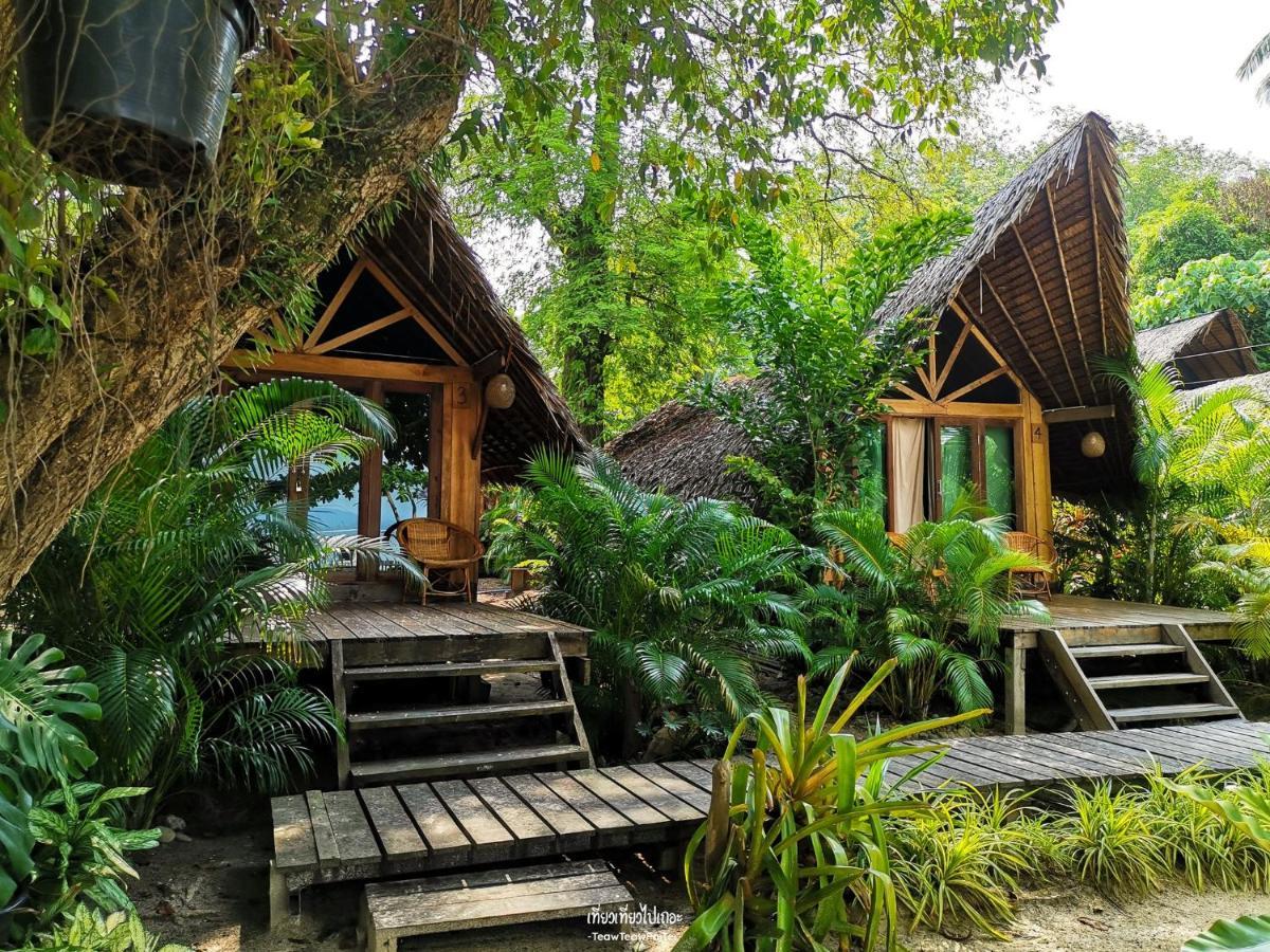 The Tropical Lodge