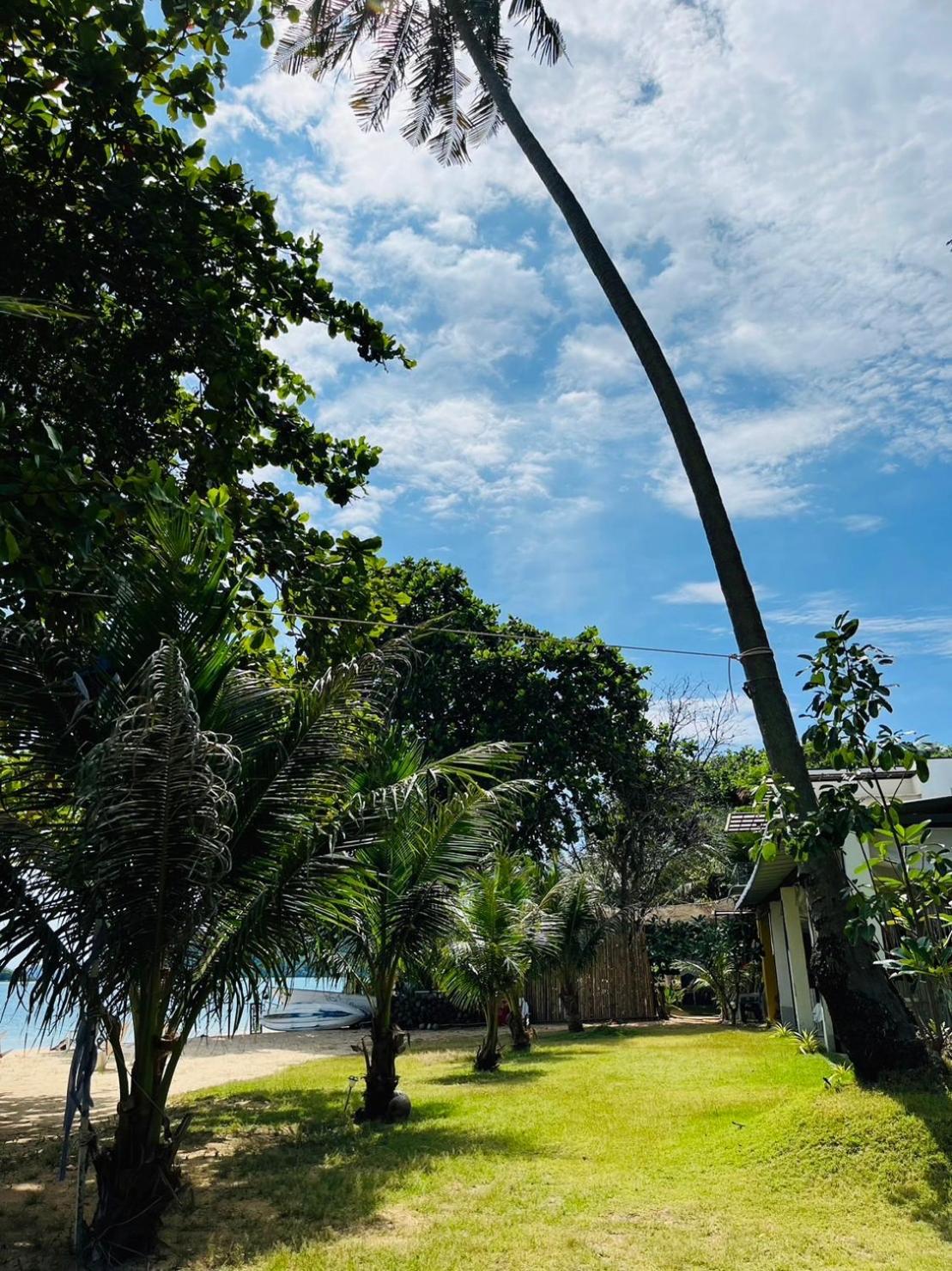 Baan