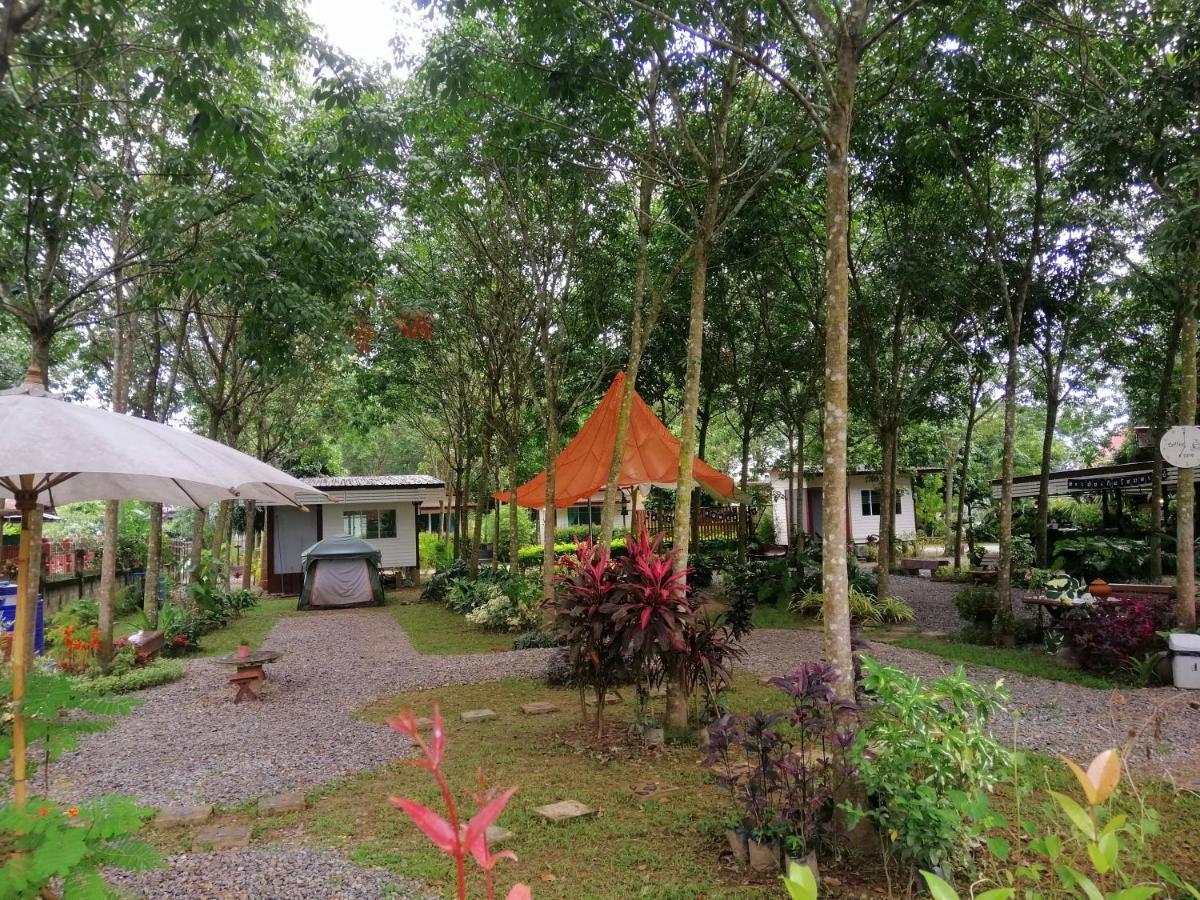 Sameikei * Phrae