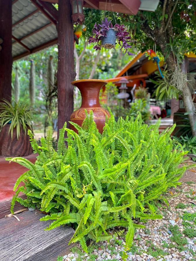 นพรัตน์การ์เด้นฮิลล์ Guest house Uthai Thani