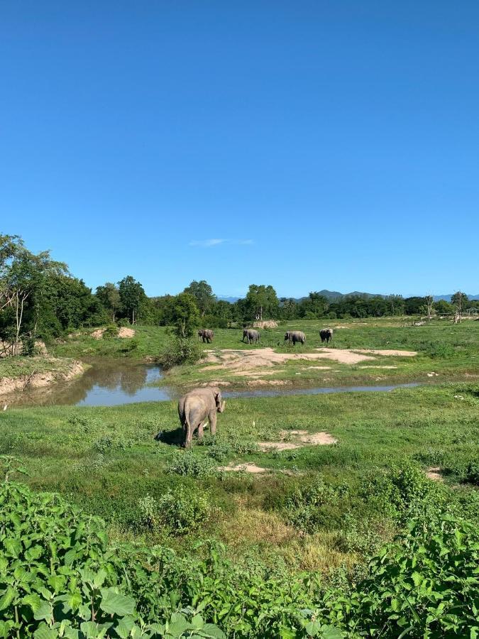 I Phants Resort 3*