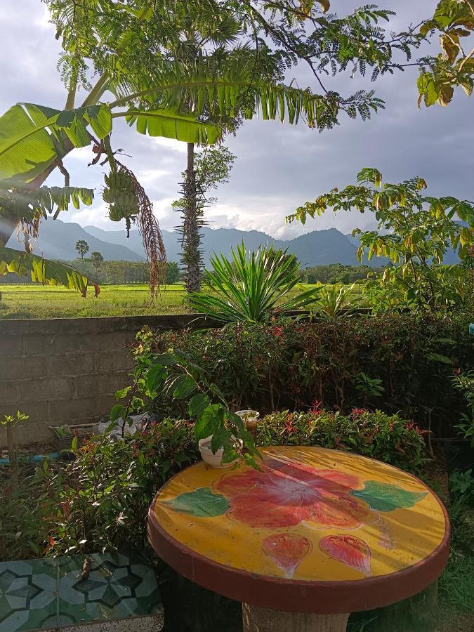 4 Seasons Mini House Resort