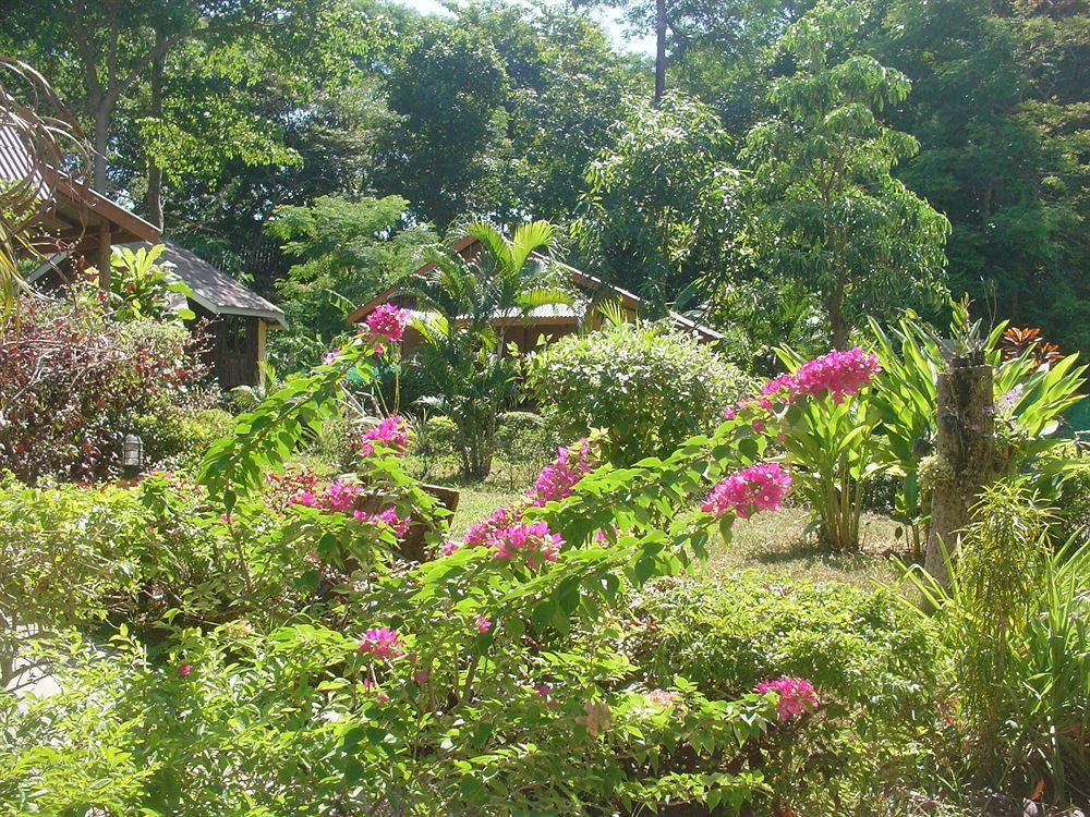 Hotel Faye Orchid 3*