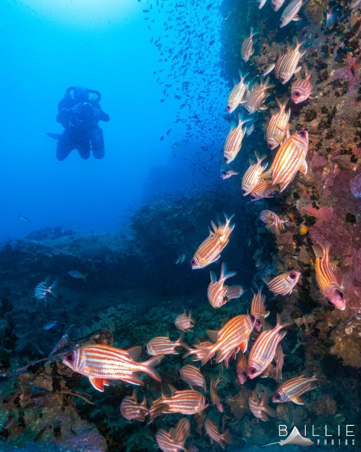 Hydronauts Diving - 2* Koh Tao