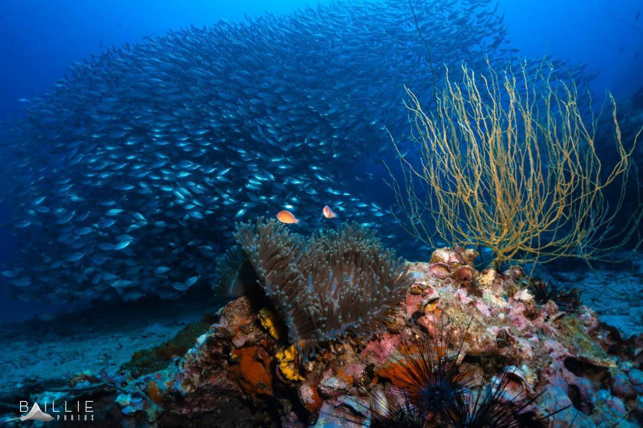 Hotel Hydronauts Diving -