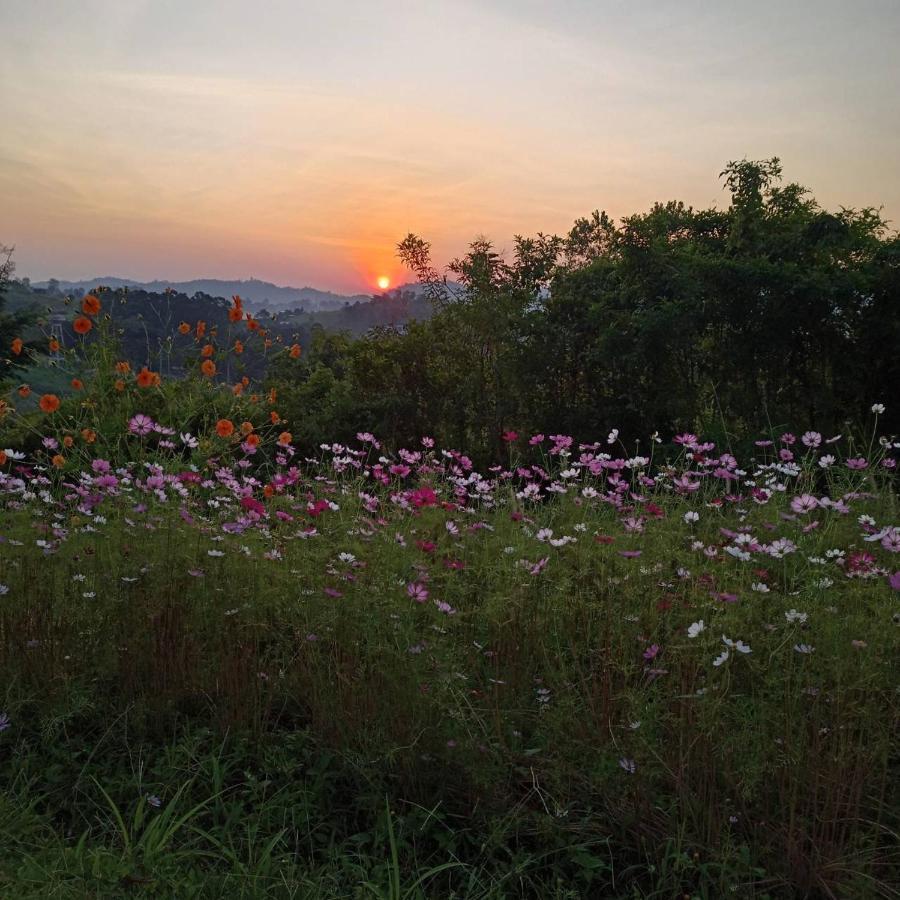 Phuyafahsai The 3* Khao Kho