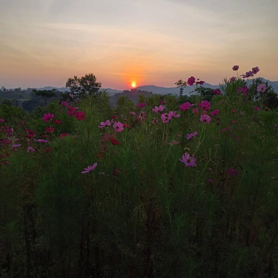 Resort Phuyafahsai The Khao Kho