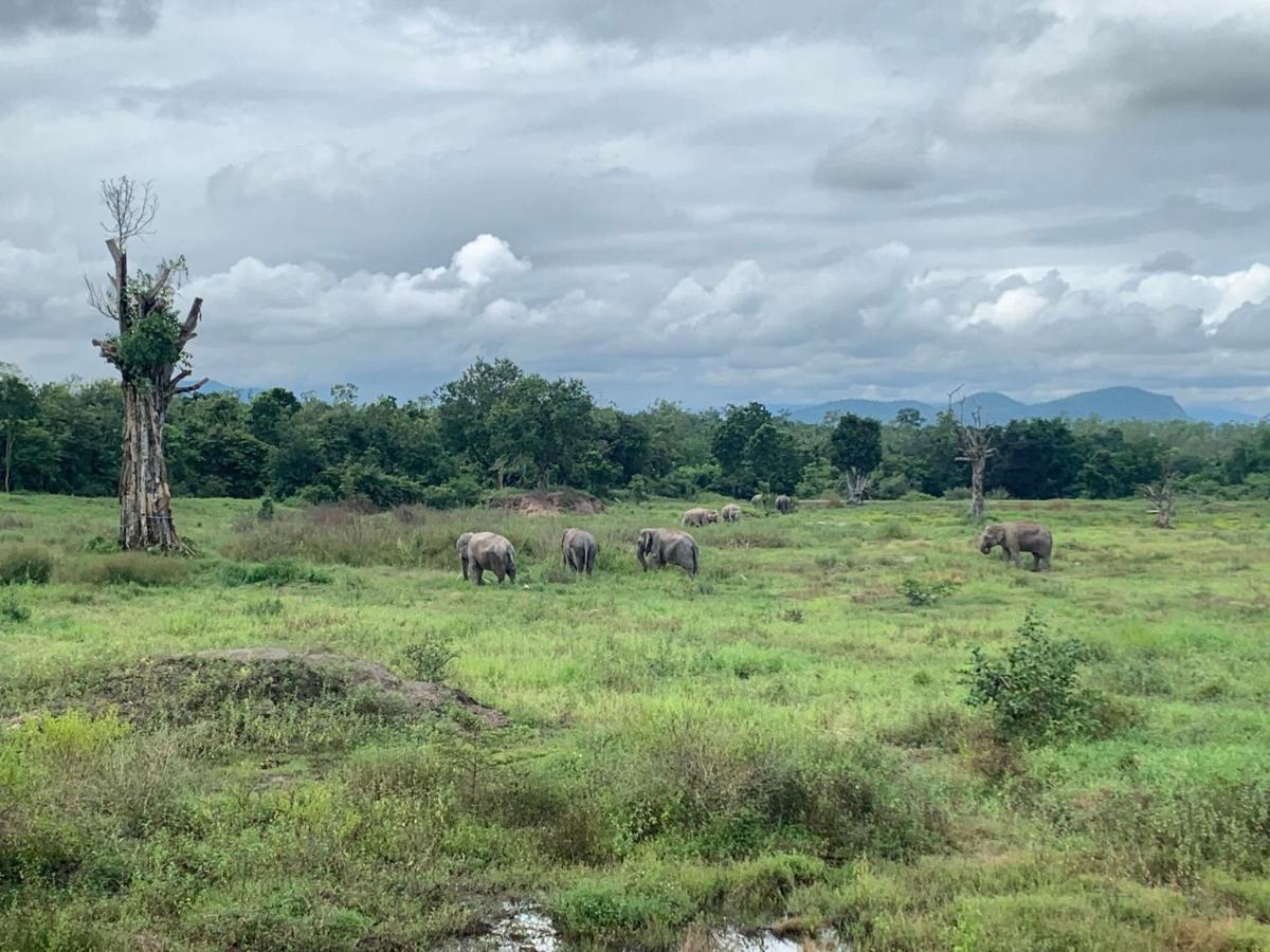 I Phants 3*