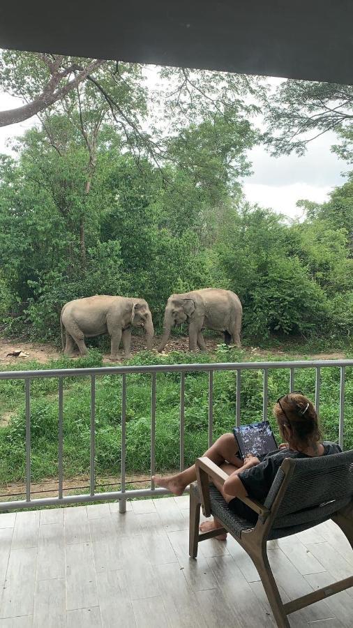 I Phants Resort