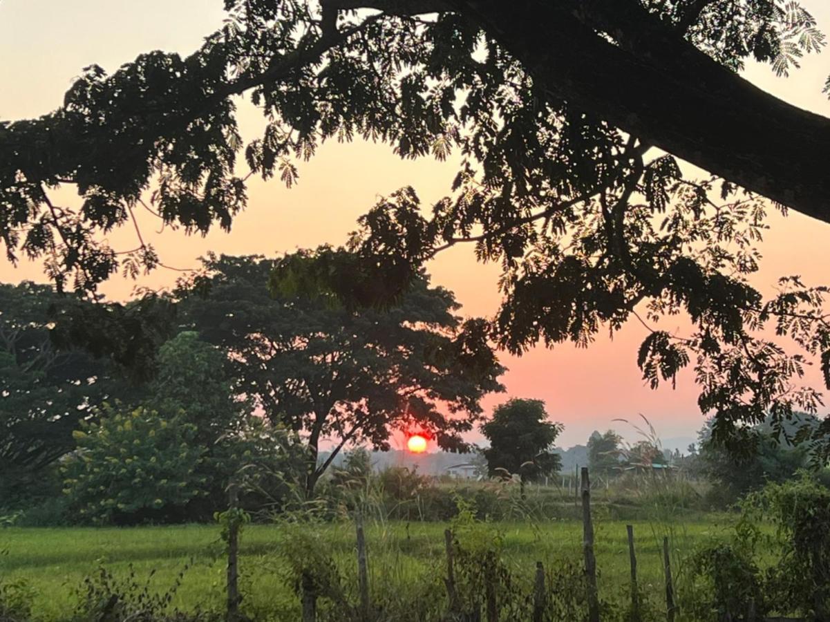 Homestay Suanglangna Phrae