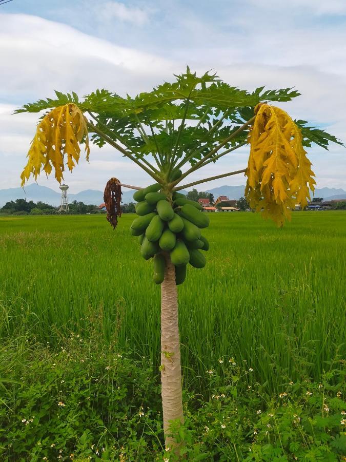 Khoom Kam Kaew Phrao