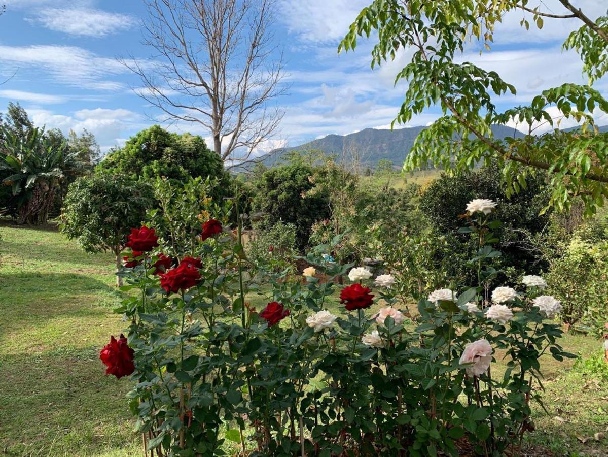 Campson Heaven Khao Kho