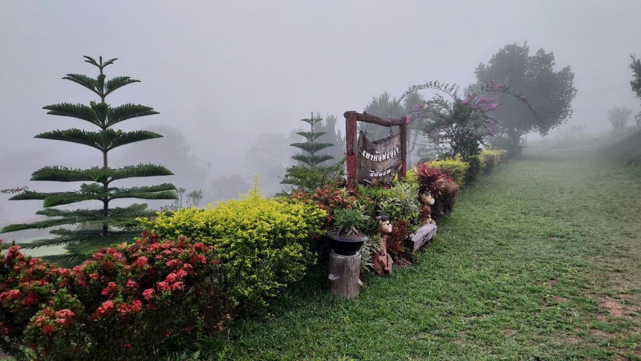 Flora Khao Kho