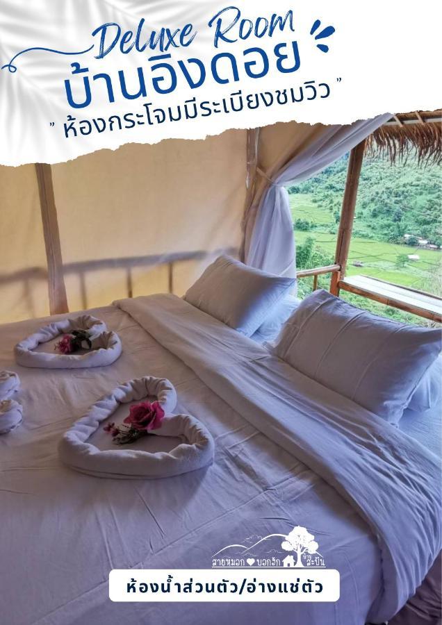 สายหมอกบอกรัก น่าน Saimok Bokrak Nan Resort