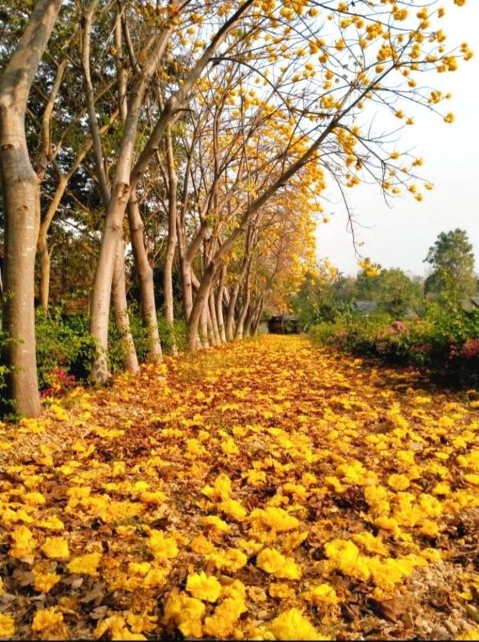Denchai เด่นชัยซิตี้ Phrae