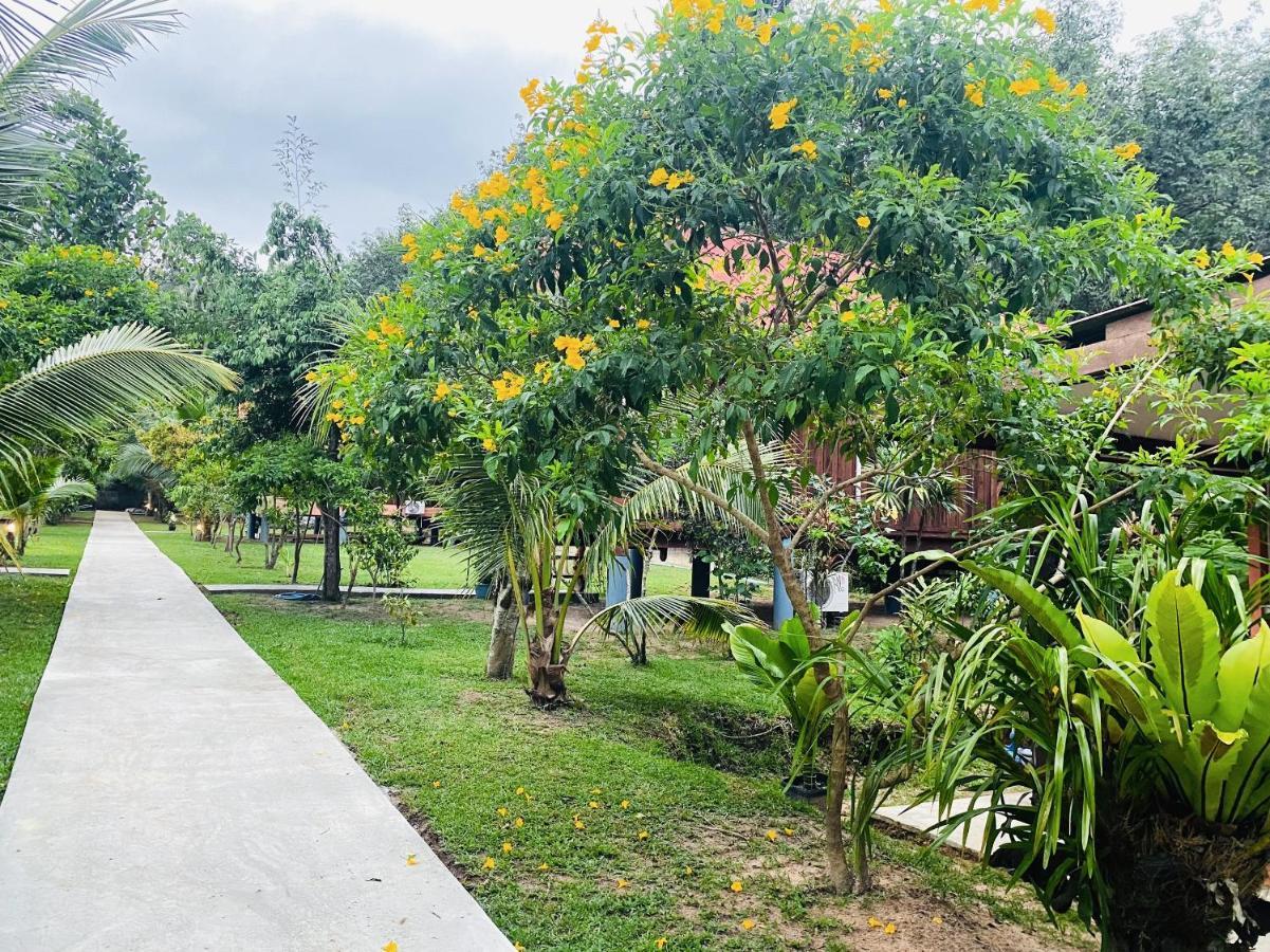 Nadia Kohjum 2*