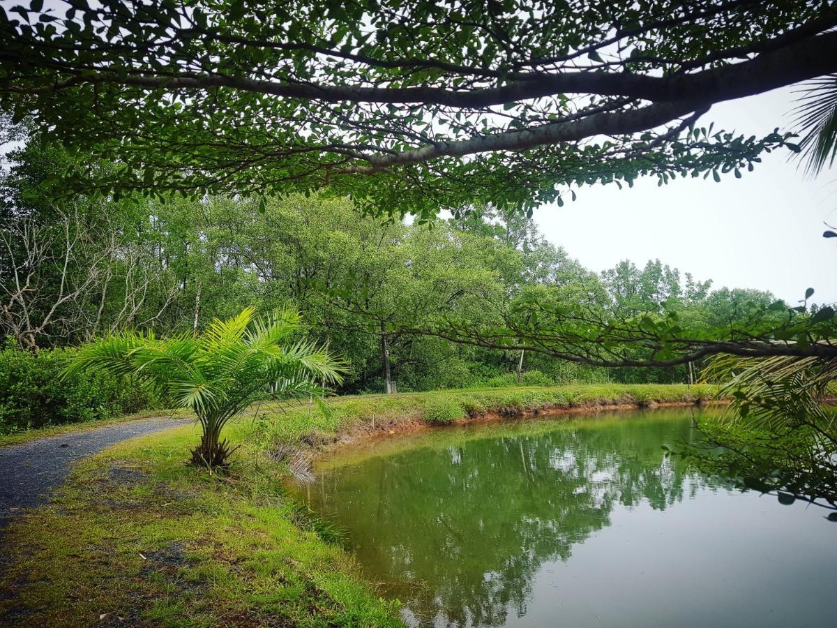 Calm At Bangphat Resort Bor Saen