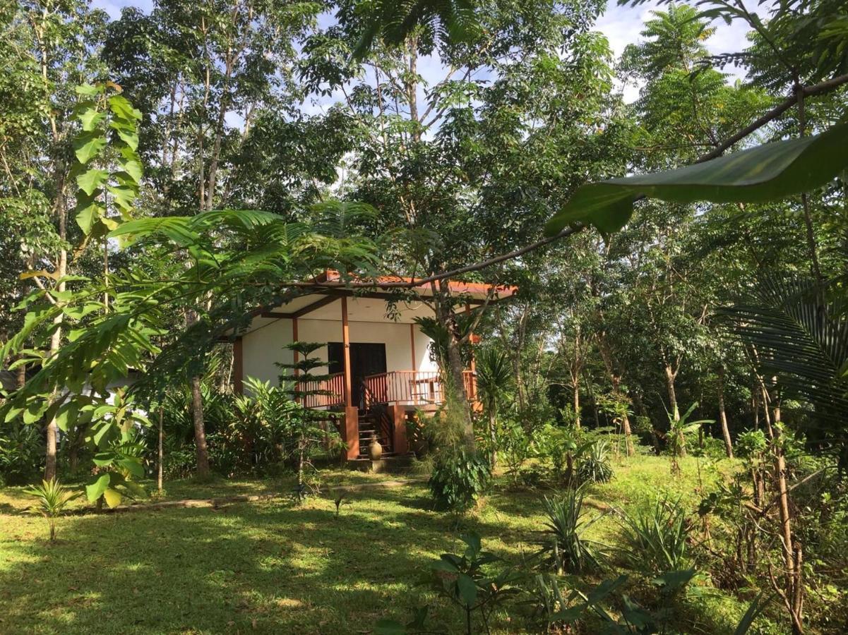 Baansuan Suksangob Farm *