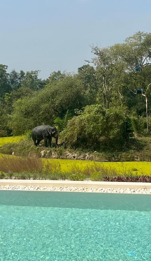I Phants Resort 3*