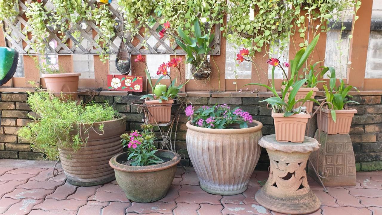 Little Guest house