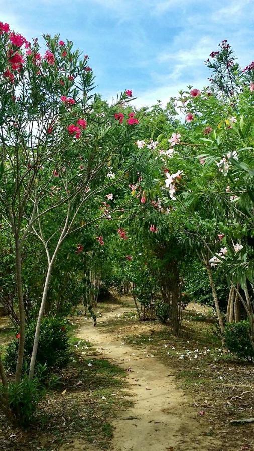 Koh Phaluay Eco Holiday home *