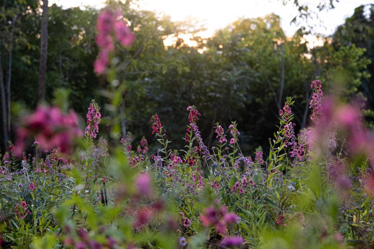 Marasca Khao Yai - Eco-friendly Glamping Escape Near National Park Resort 5*