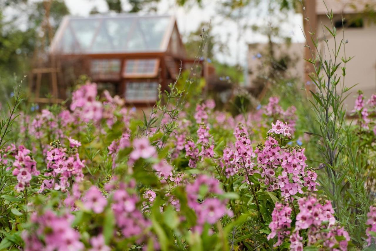 Marasca Khao Yai - Eco-friendly Glamping Escape Near National Park Resort
