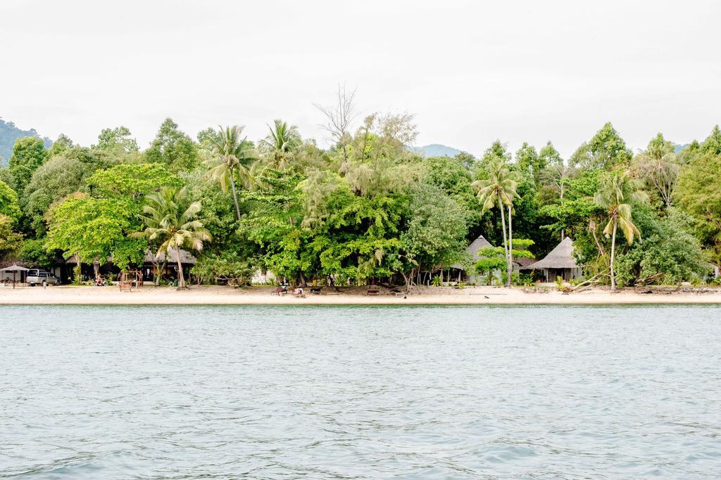The Tropical