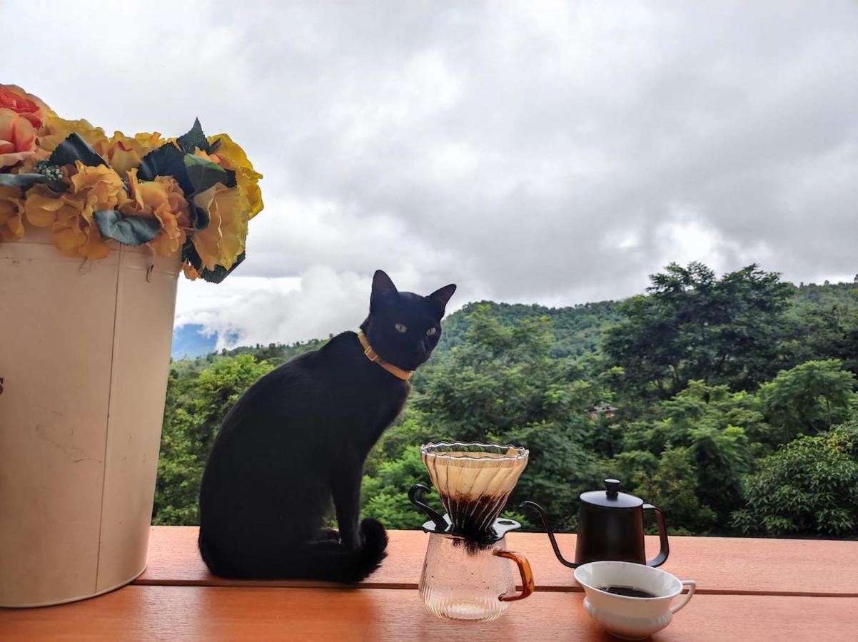 Terre Terrace Glamping - Doichang Bed & Breakfast