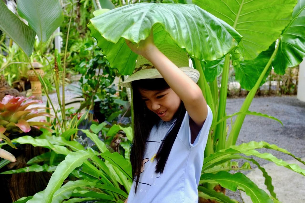 The Nature House Aonang Krabi Thailand * Ao Nang