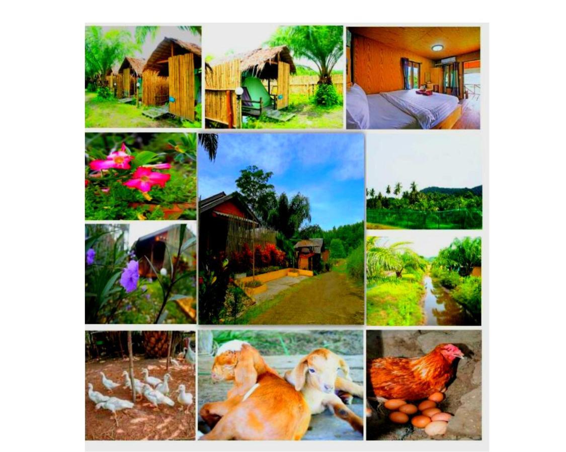Yaoisland And Farm 3*