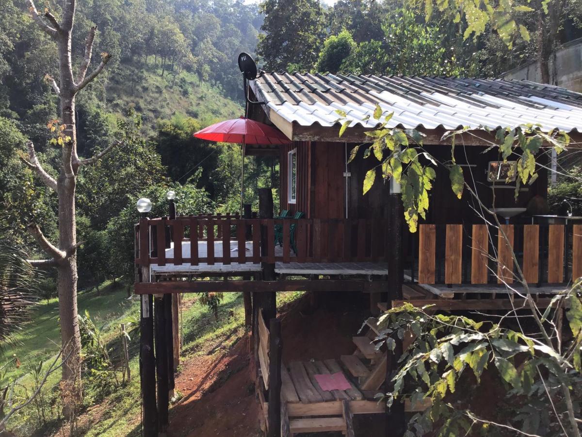 Forest Resort