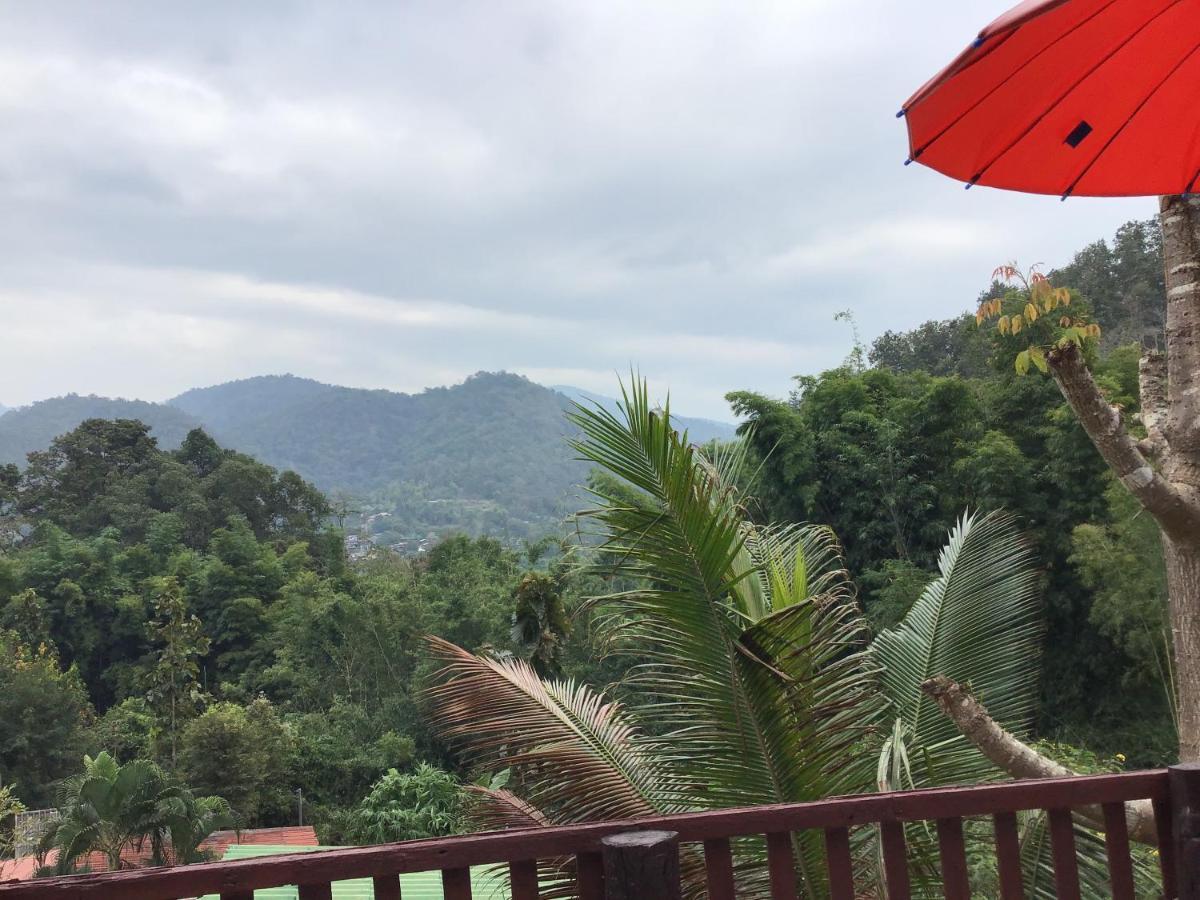 Resort Forest 2*