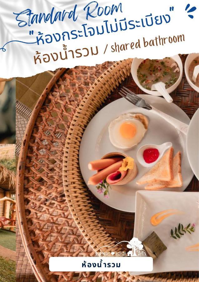 สายหมอกบอกรัก น่าน Saimok Bokrak Nan