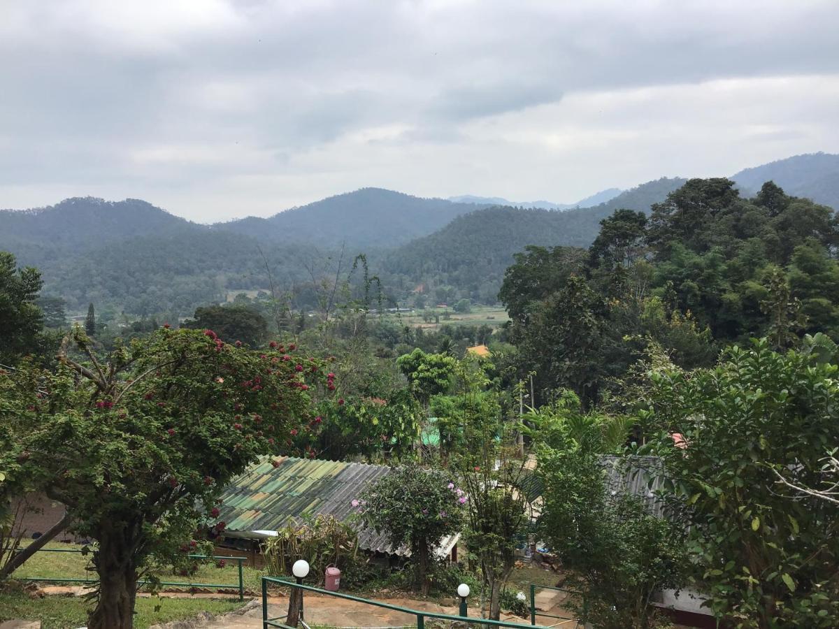 Forest Samoeng