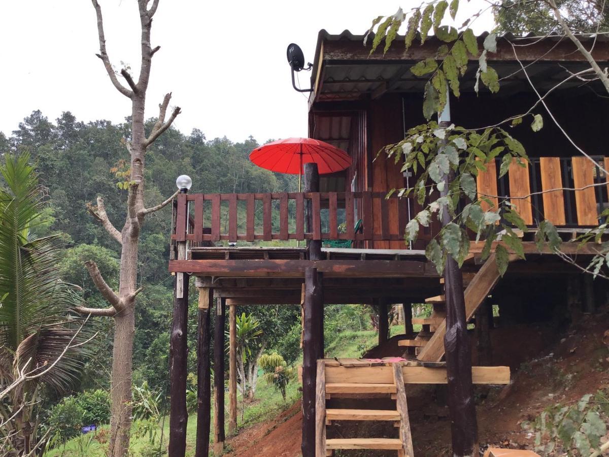 Resort Forest