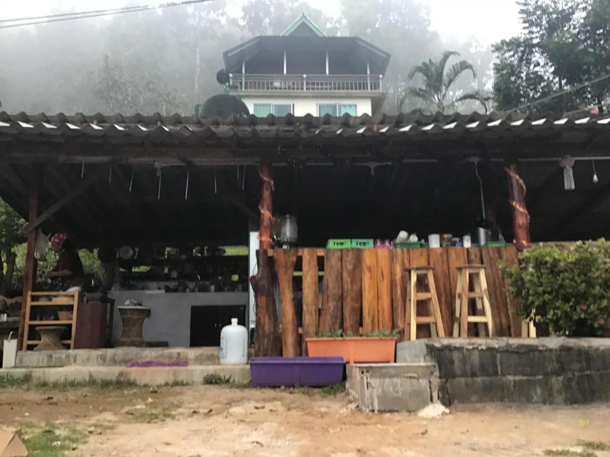 Forest Resort 2*