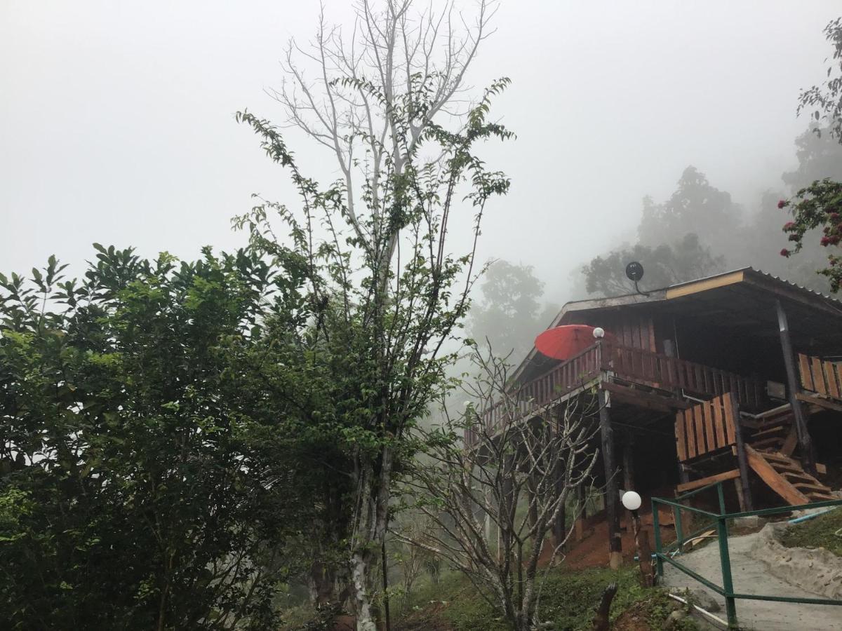 Forest Samoeng