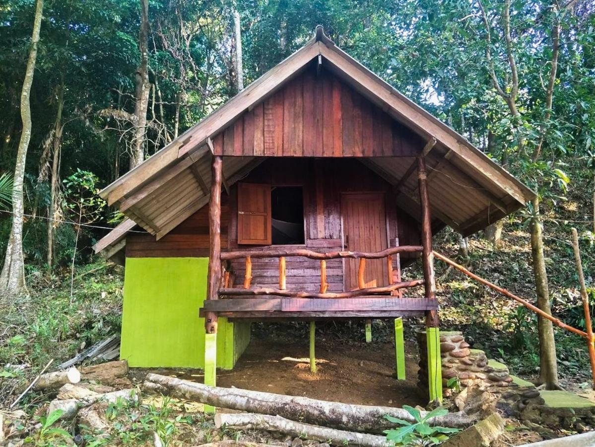 Guest house Hornbill