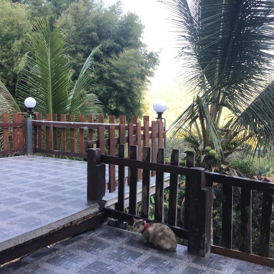 Resort Forest 2*