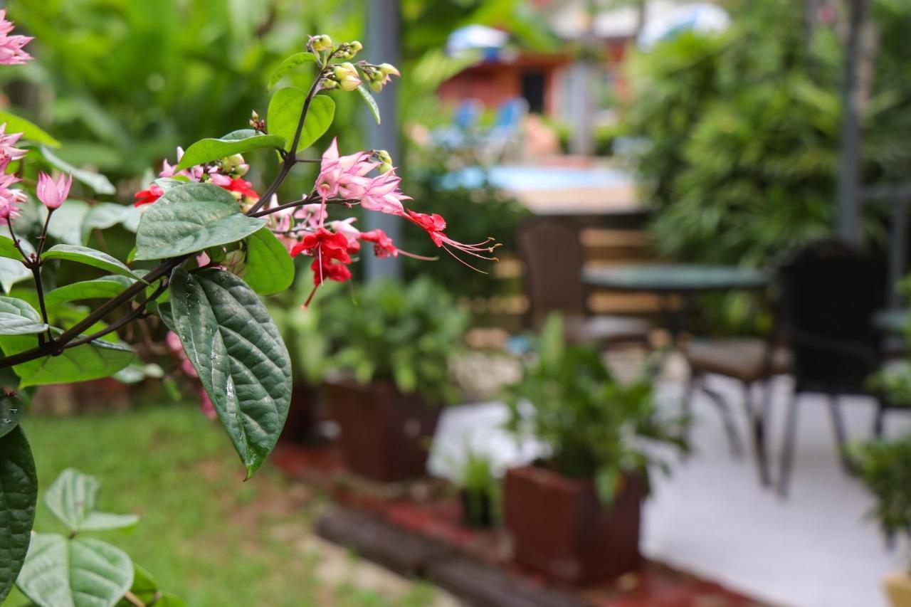 Resort Andaman Seaside Bangtao