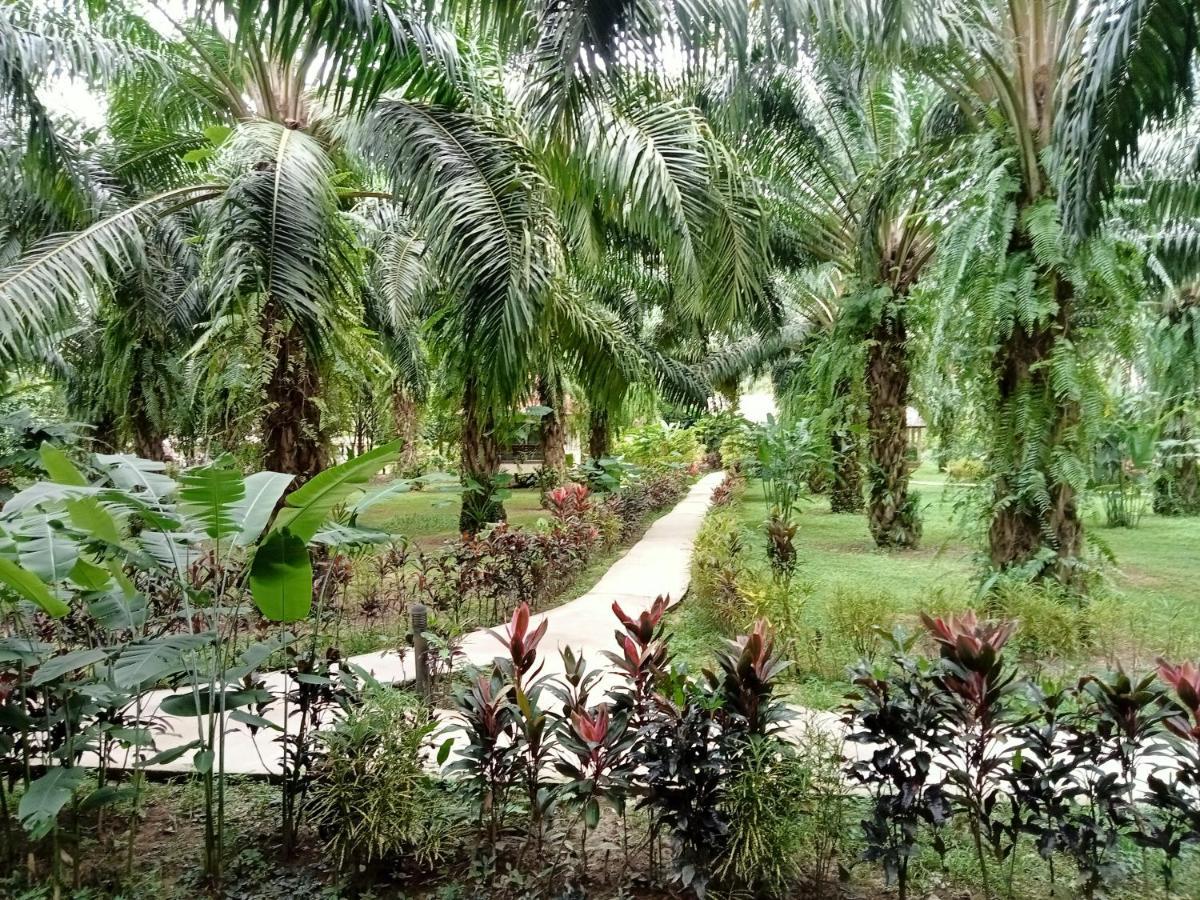 Khao Sok Palm Garden Khao Sok National Park