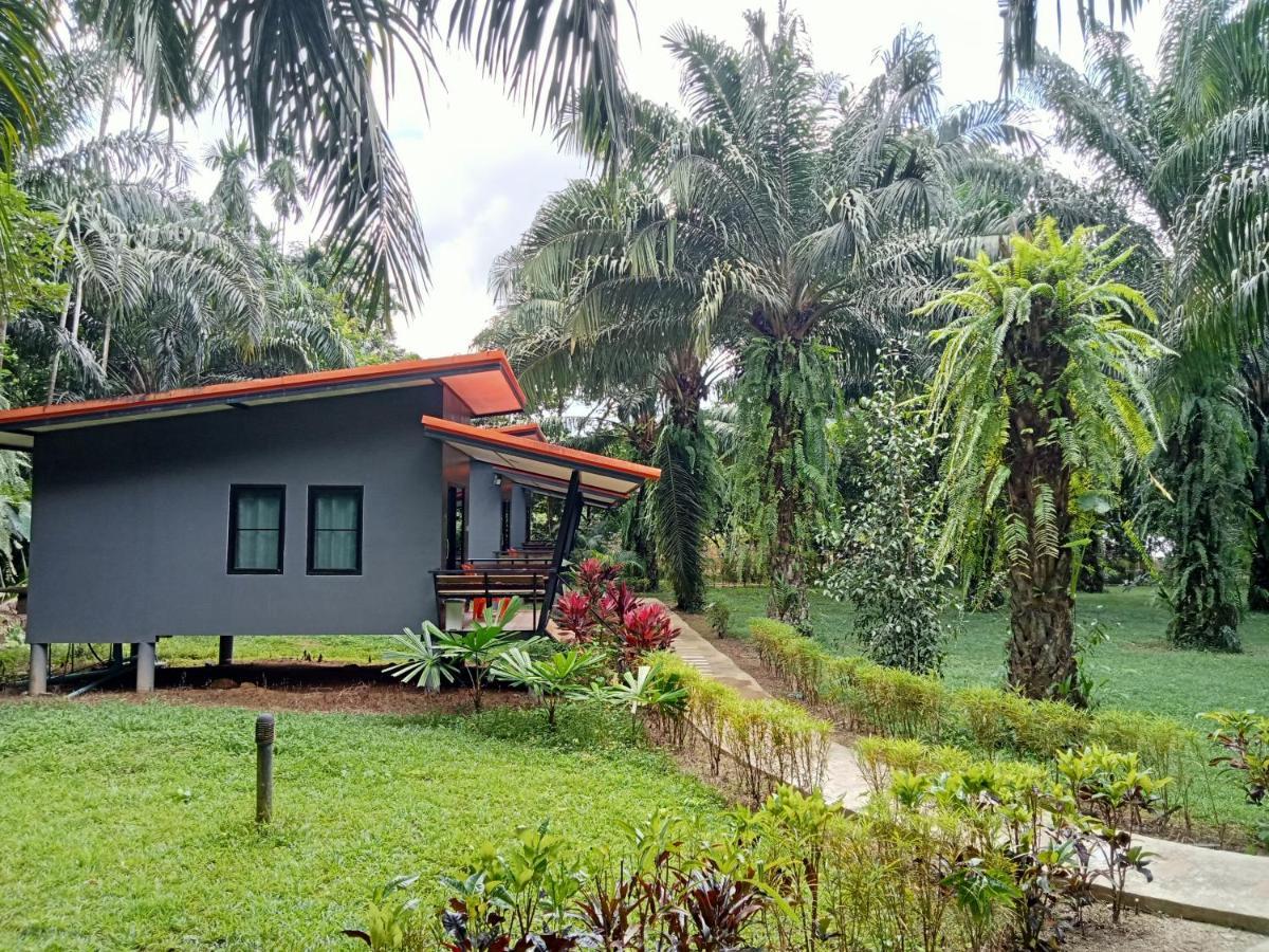 Khao Sok Palm Garden 2* Khao Sok National Park