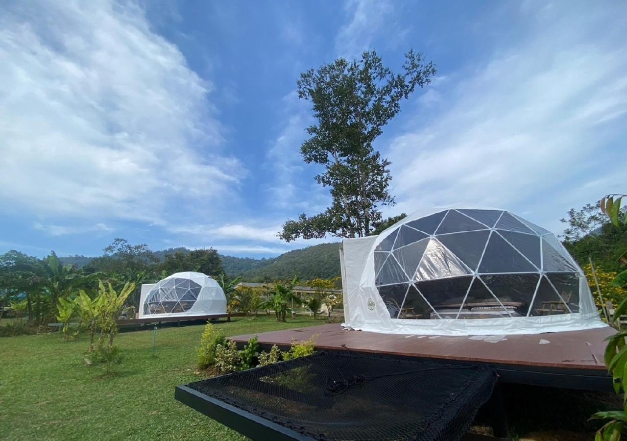 Cosy Garden Khao Sok Luxury tent Khao Sok National Park